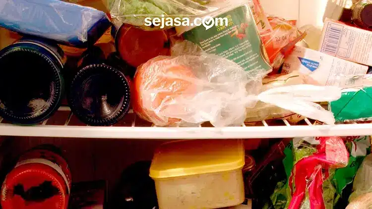 Kulkas Bagian Bawah Tidak Dingin, Tapi Freezer Tetap Dingin? Ini 5 Penyebabnya